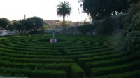 dsc00414